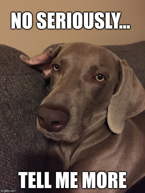 No seriously...tell me more Imgflip