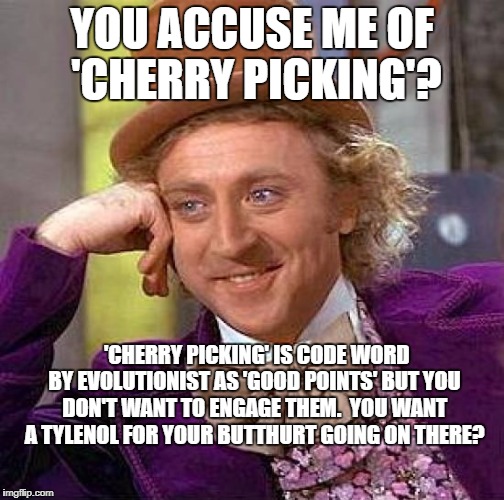 Creepy Condescending Wonka Meme Imgflip