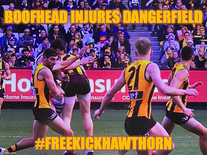 Geelong Cats Birthday Memes 101 Best Happy Birthday Memes to Share