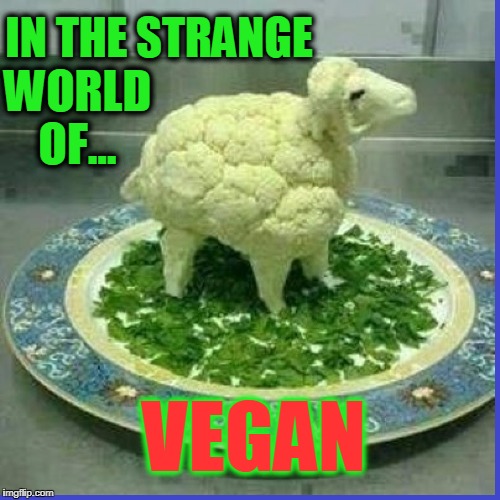 The Cauliflower Sheep Imgflip