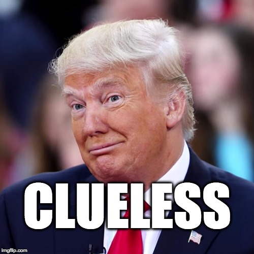 The clueless Republican president Trump. Imgflip