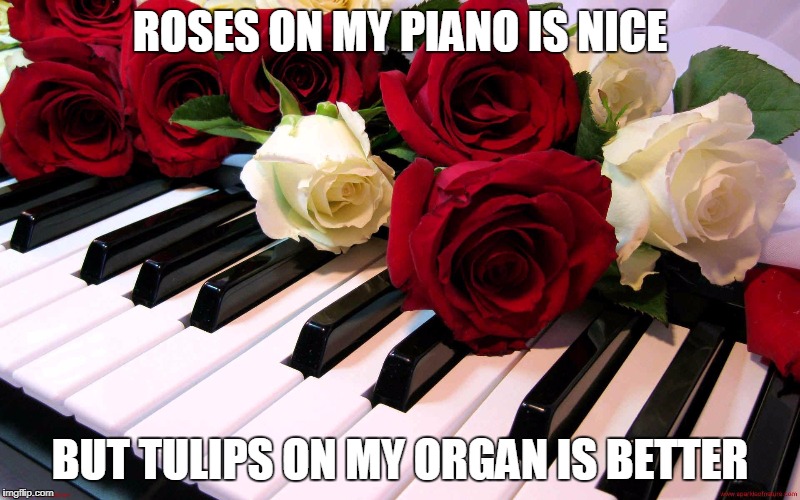Tulips on my organ Imgflip
