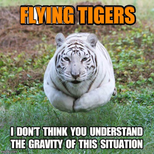 When Tigers ruled the skies and tiger week Imgflip