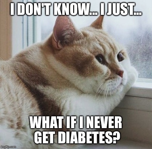 Introspective Fat Cat Imgflip