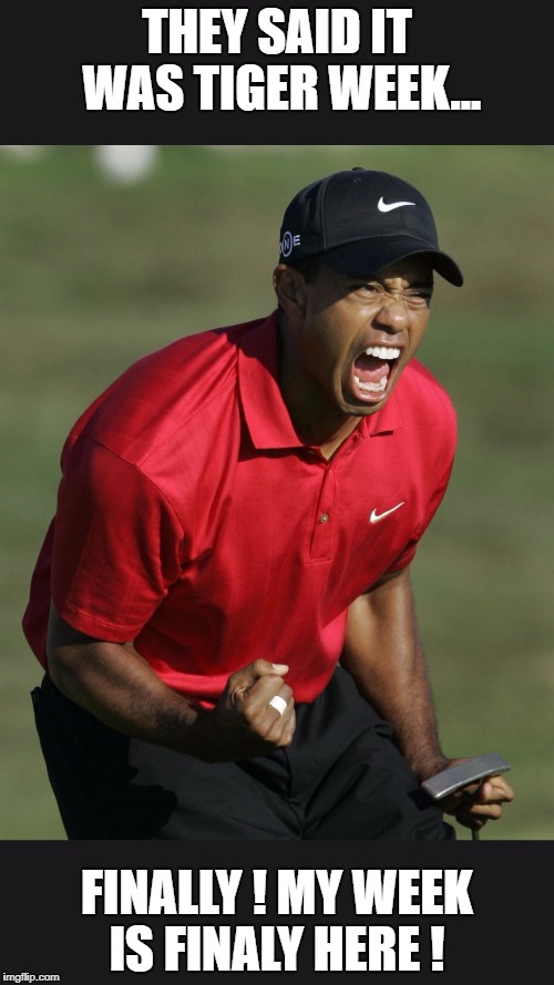 Tiger Woods week.. Imgflip