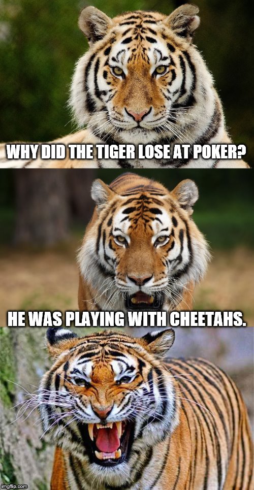 True story for Tiger Week, a TigerLegend1046 event Imgflip