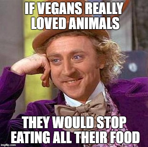 What to say to a vegan Imgflip