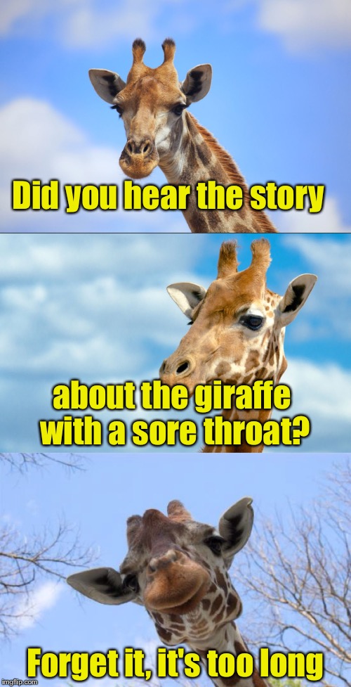 Bad Pun Giraffe Imgflip