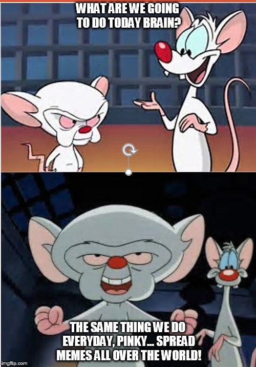 pinky and the brain Memes & GIFs Imgflip