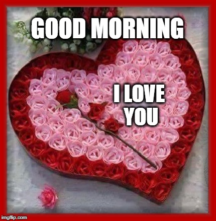 good morning i love you meme Image Tagged In Good Morning,I Love You,Roses - Imgflip
