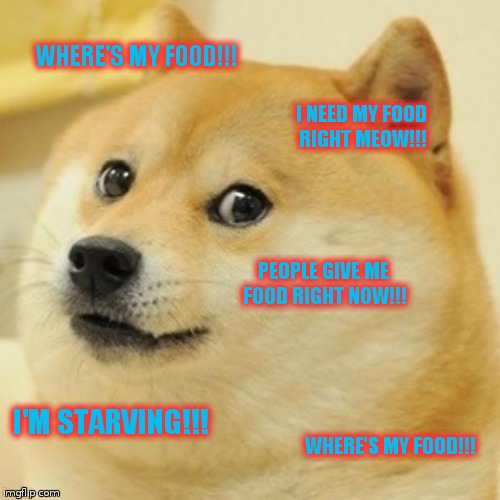 Doge Meme Imgflip