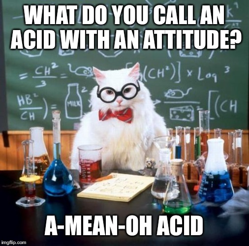 Chemistry Cat Meme Imgflip