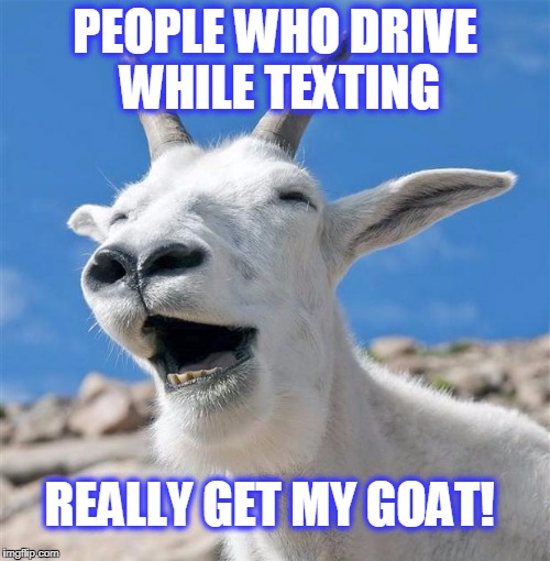 Laughing Goat Meme Imgflip