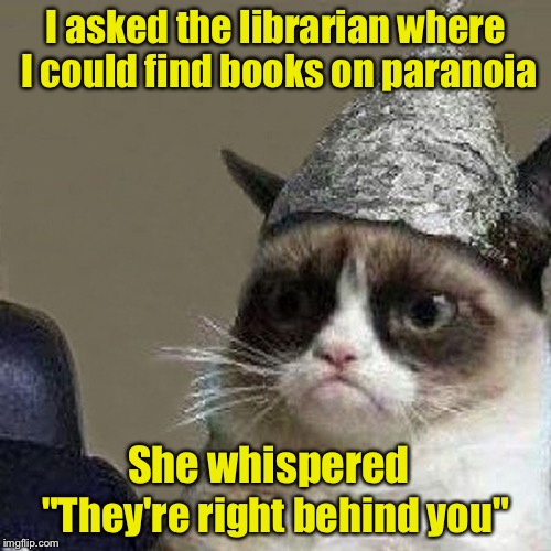 Grumpy, Paranoid Cat Imgflip