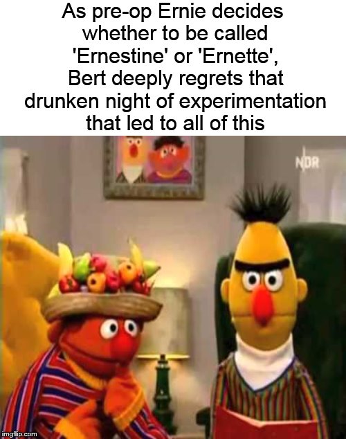 Meanwhile, on Sesame Street.... Imgflip