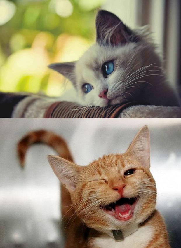 "sad" Meme Templates Imgflip