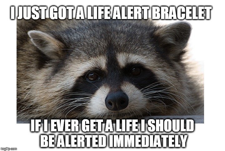 Eat, sleep, work. What a life! (Not) Imgflip