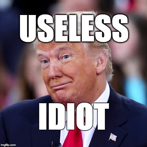useless idiot Imgflip