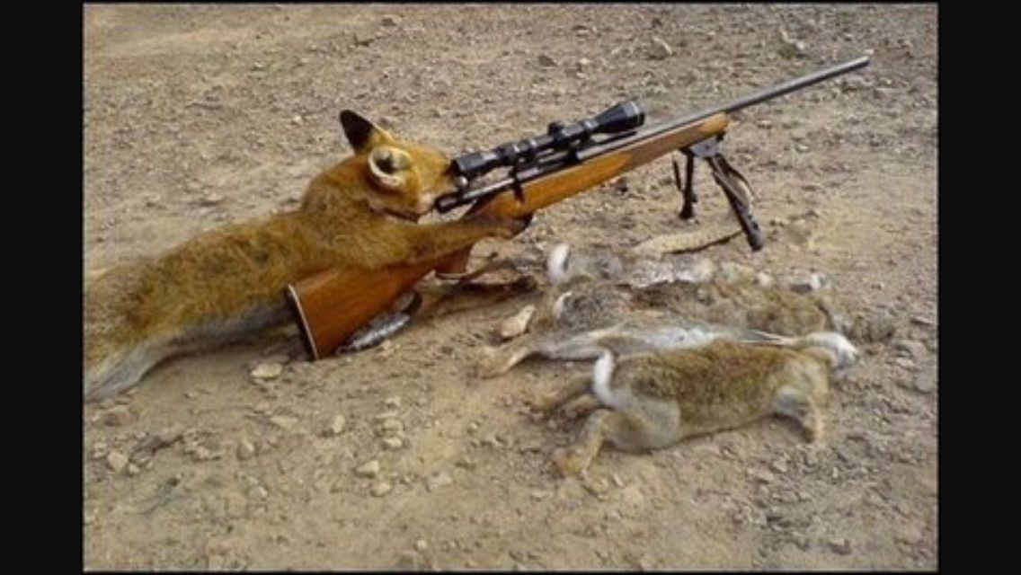 "sniper" Meme Templates Imgflip