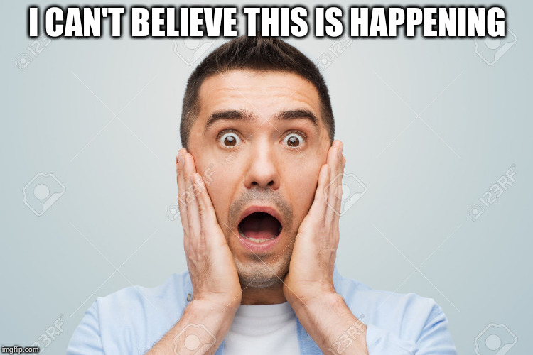 Timely revenge dog Imgflip