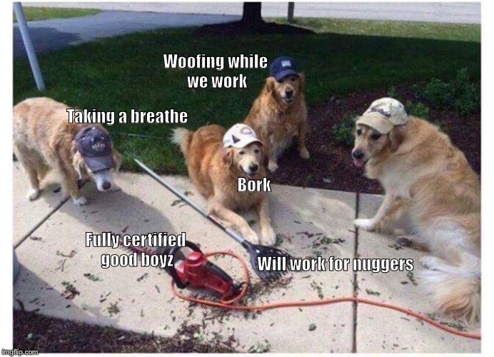 Working doggo Imgflip