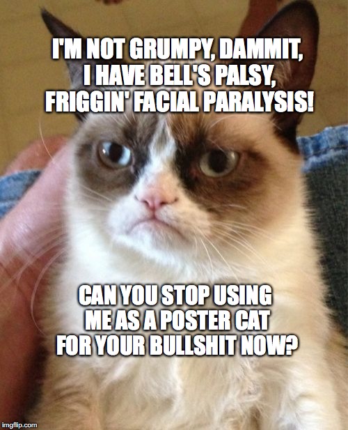 Grumpy Cat has had it! Imgflip