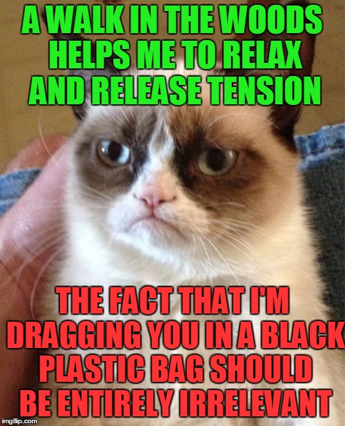 Grumpy Cat Meme Imgflip
