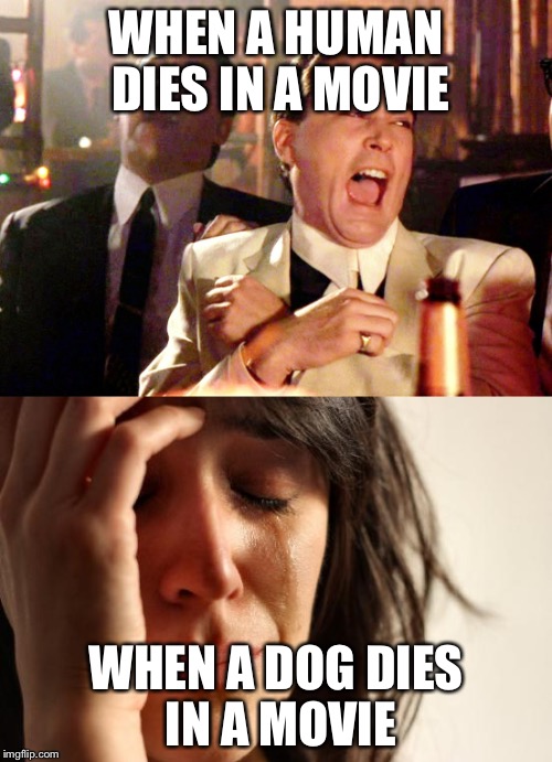 Dog lives matter u know Imgflip