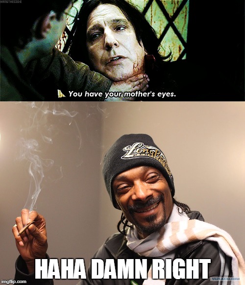 Image tagged in severus snape,snoop dogg,memes,funny memes Imgflip