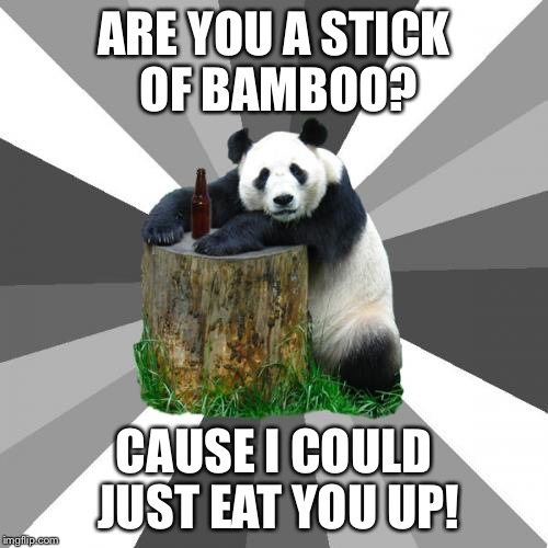 Pickup Line Panda Meme Imgflip