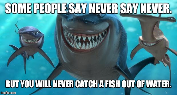 Fish are friends not food Imgflip