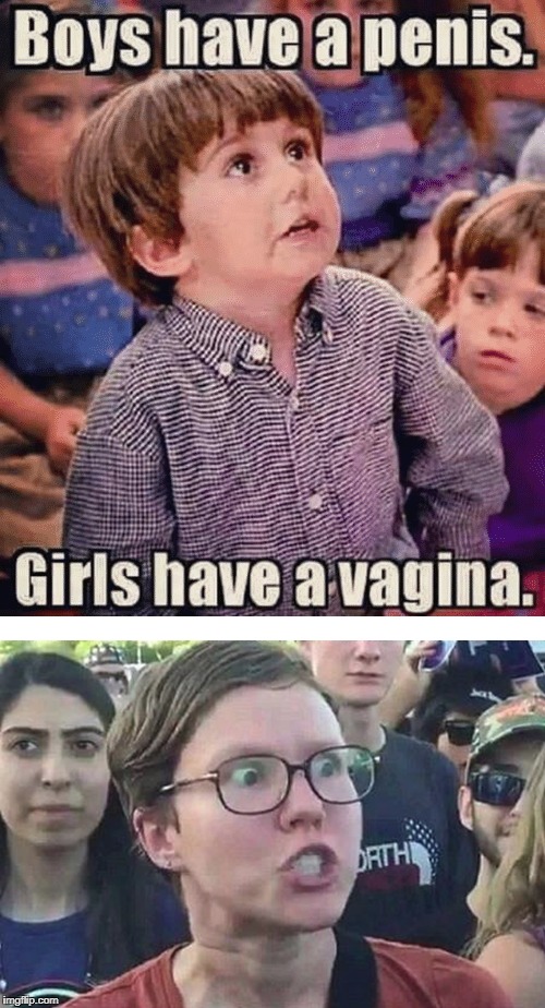 Image tagged in libtards,triggered feminist,super_triggered,genitals