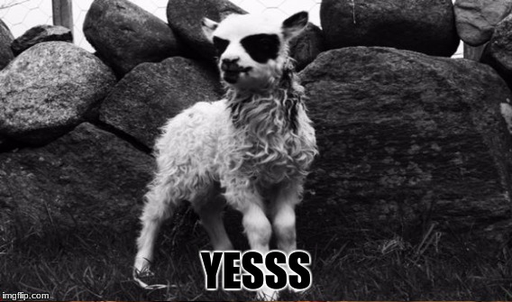 Image tagged in demonic lamb Imgflip
