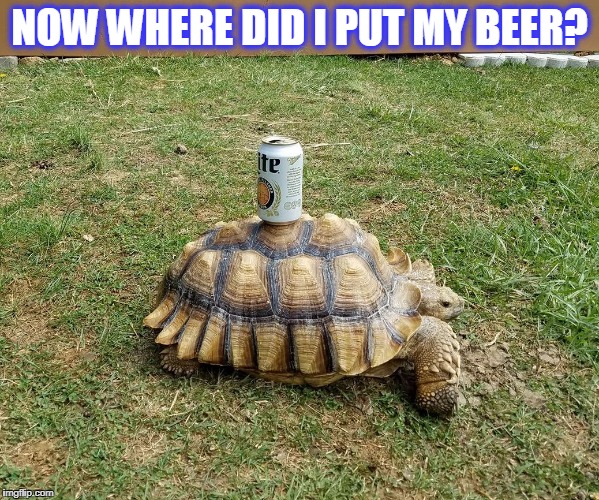 beer Imgflip