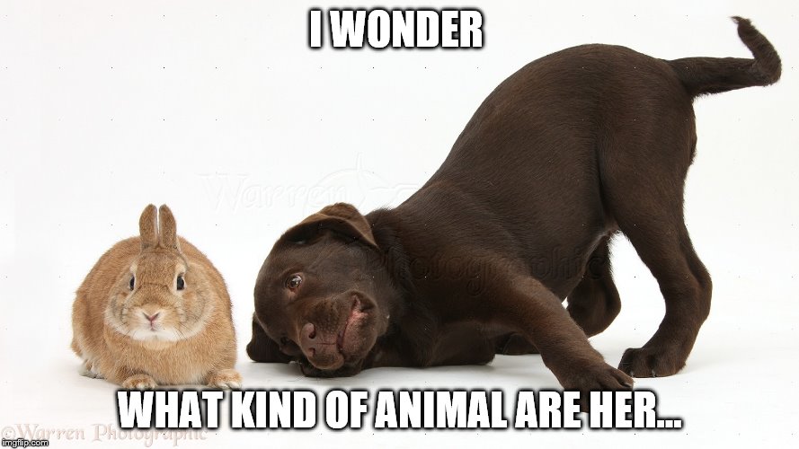 For the first time in forever Imgflip