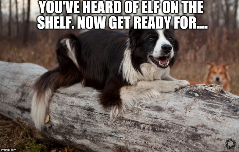 (Elf of the shelf has nothing on this) Imgflip