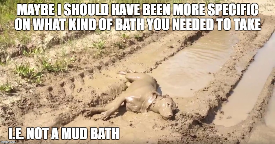 Dog Mud Bath Imgflip