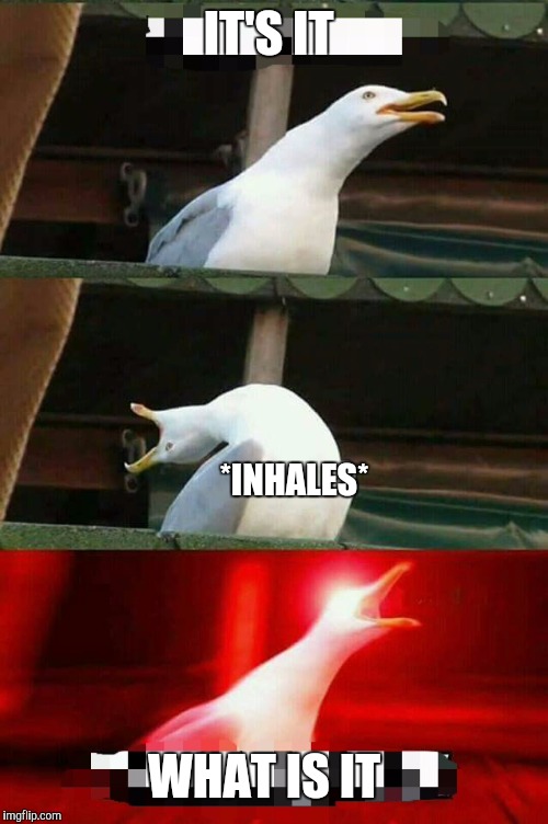 Image tagged in memes Imgflip