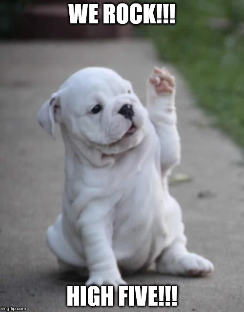 Image tagged in puppy high five Imgflip