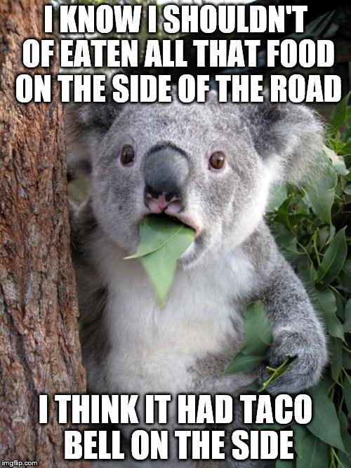 Surprised Koala Meme Imgflip