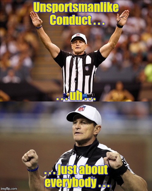 Ed Hochuli Memes Fumblr Week 4 A cat for every quarterback