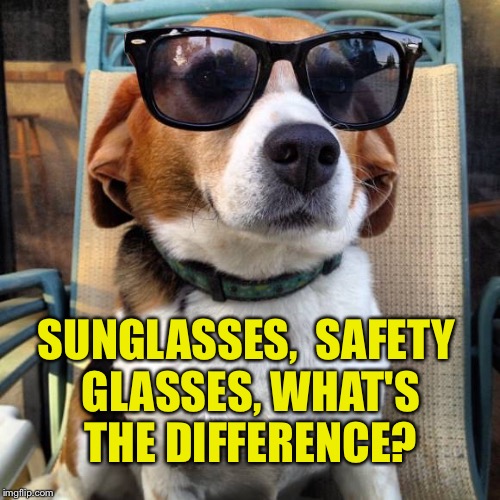 beagle sunglasses Imgflip