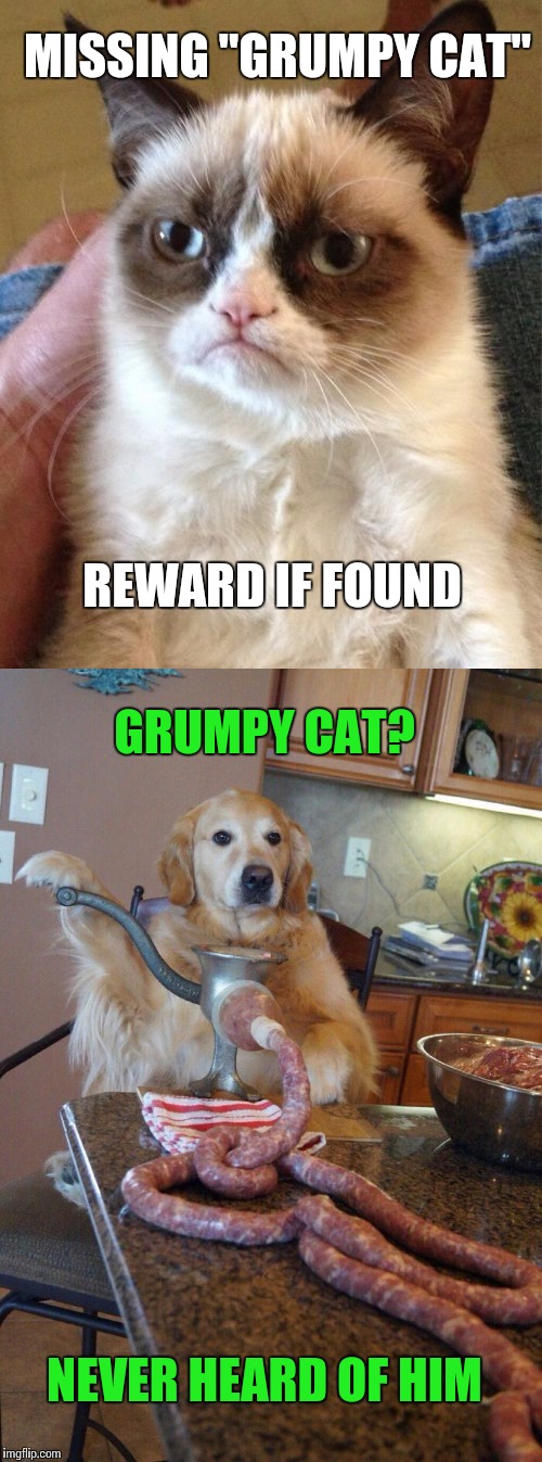 "Link" to the disappearance of Grumpy Cat Imgflip