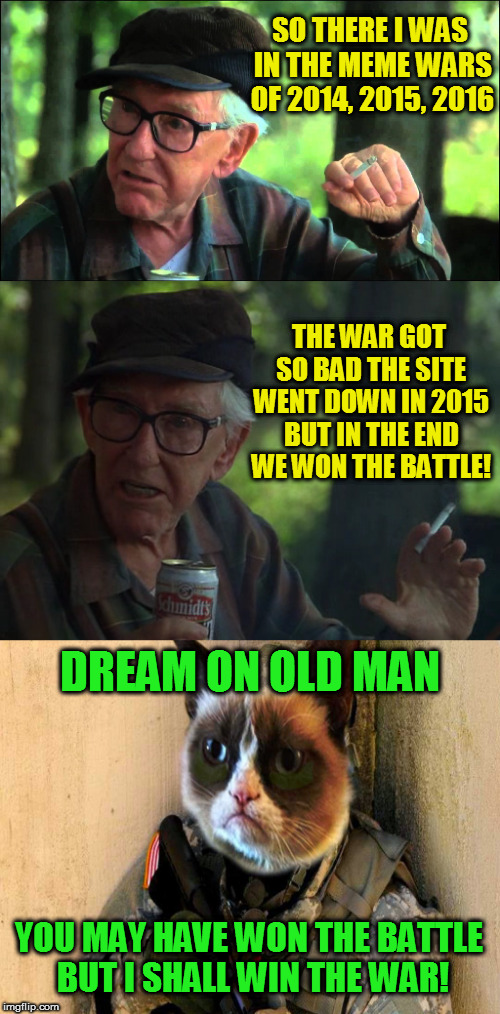 Cat Meme War Flashbacks