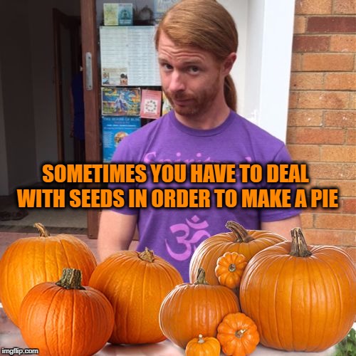pumpkin pie Memes & GIFs Imgflip