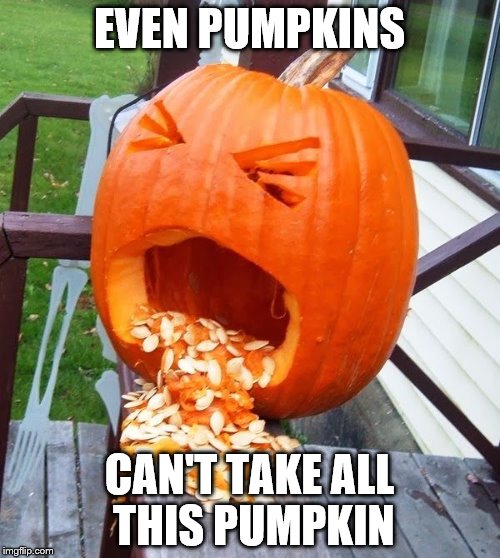 Most obviously interesting pumpkin Imgflip
