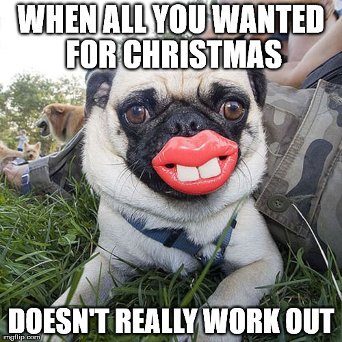 Christmas Wish Imgflip