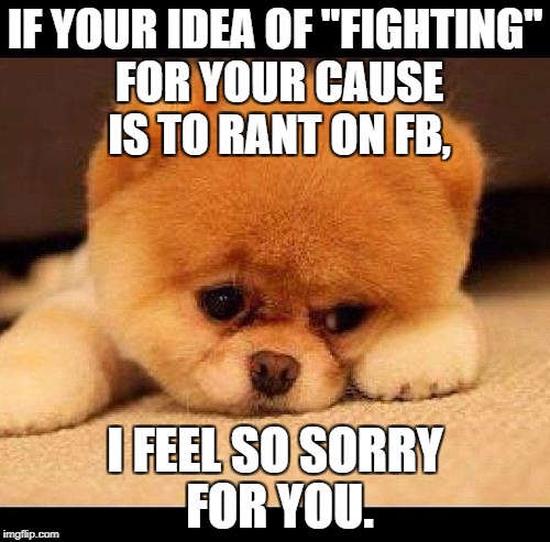 The “i’m sorry” meme can help take the sting out of an apology by adding a bit of humor. Web it's a free online image maker that lets you add custom resizable text, images, and much more to templates. Fighting on fb is NOT the way to "win." Imgflip