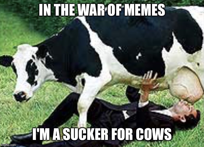 🐣 25+ Best Memes About Milking Cow Milking Cow Memes