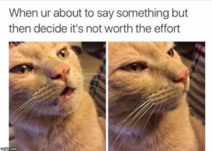 do this a lot Imgflip